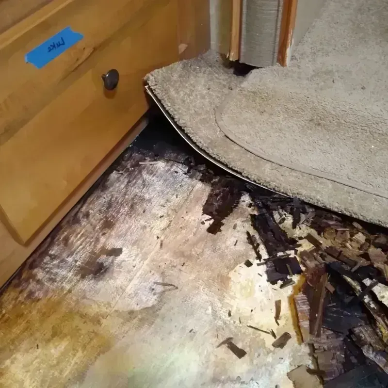 Wood Floor Water Damage in Madison County, MS